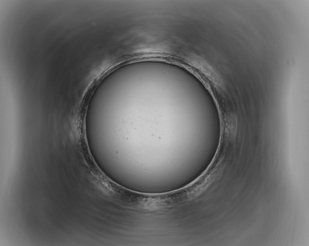 X0000116261357200912071014