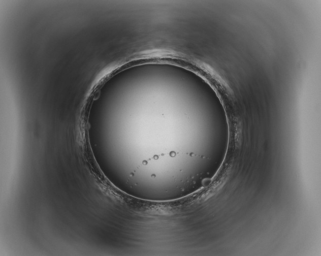 X0000116261358200912071014