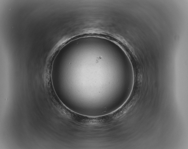 X0000116261359200912071014