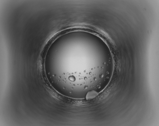 X0000116261360200912071014