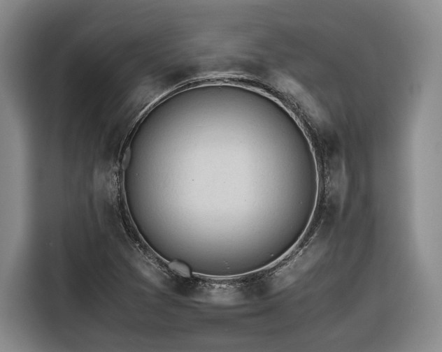 X0000116261361200912071014