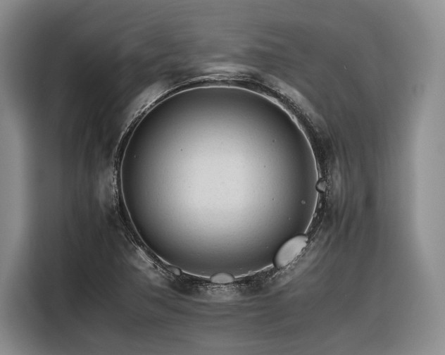 X0000116261362200912071014