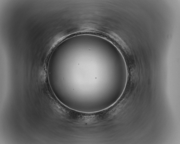 X0000116261363200912071014