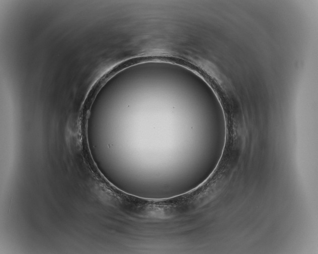 X0000116261364200912071014