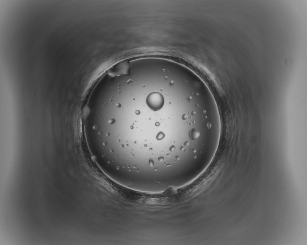 X0000116261365200912071014