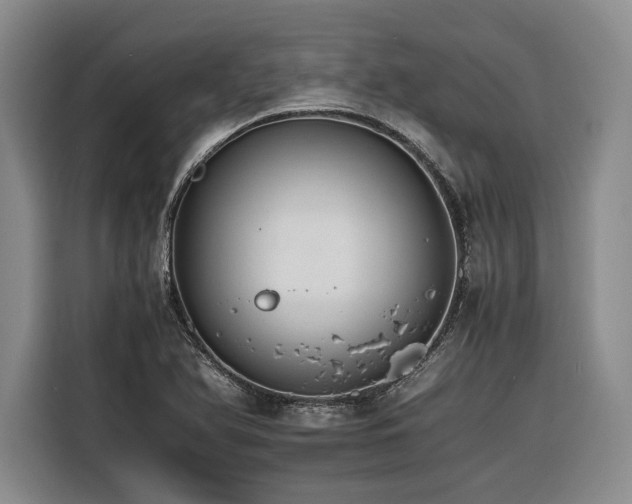 X0000116261366200912071014