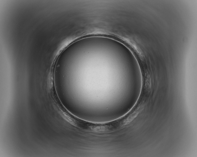 X0000116261367200912071014
