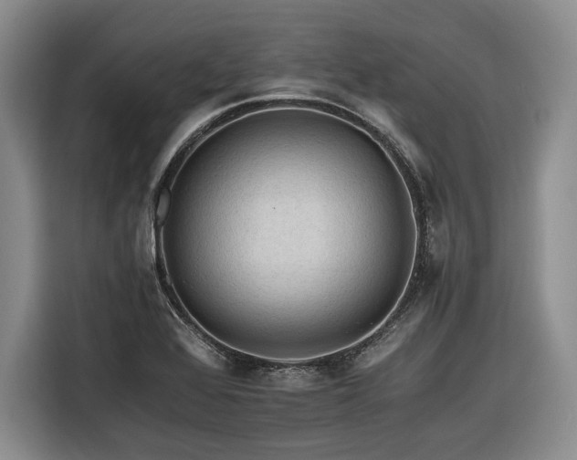 X0000116261368200912071014