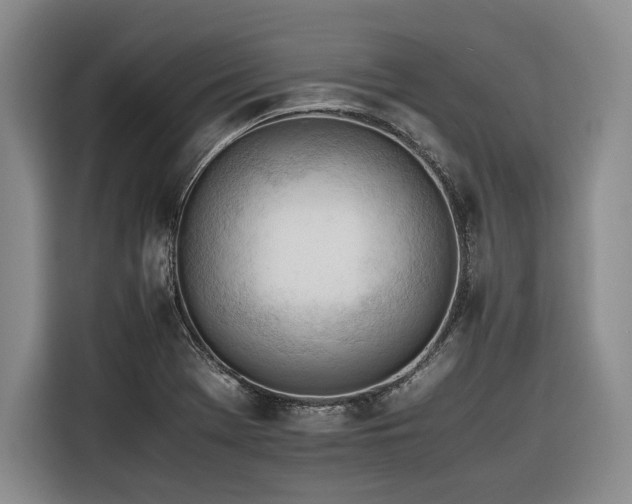 X0000116261369200912071014