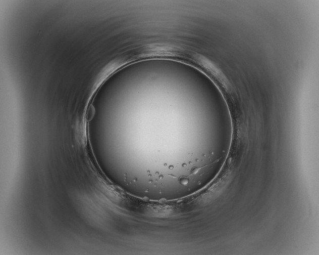 X0000116261370200912071014