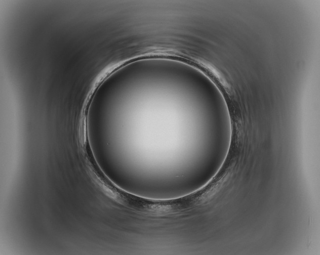 X0000116261371200912071014