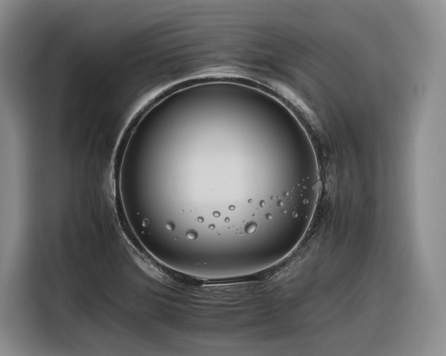 X0000116261372200912071014