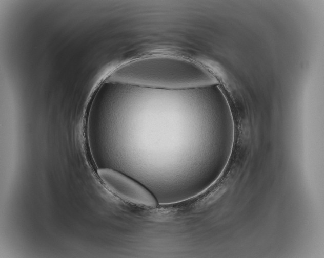 X0000116261373200912071014
