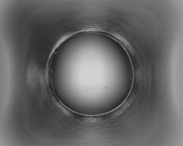 X0000116261374200912071014