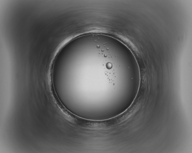 X0000116261375200912071014
