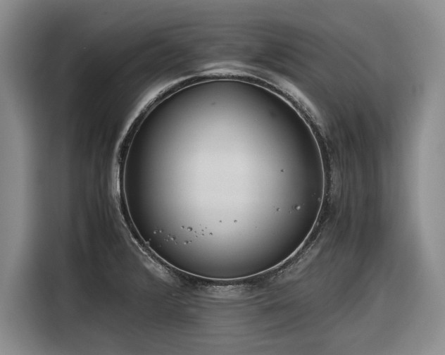 X0000116261376200912071014