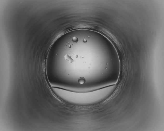X0000116261377200912071014