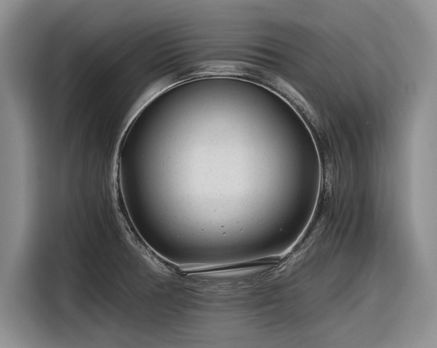 X0000116261378200912071014