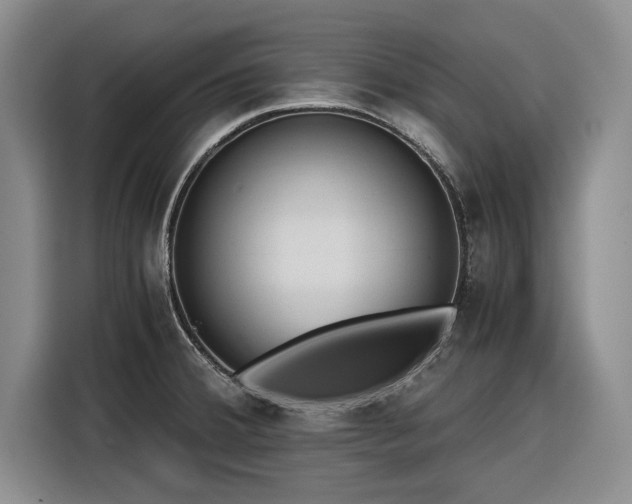 X0000116261380200912071014