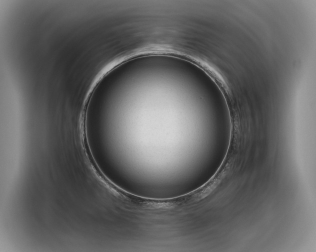 X0000116261382200912071014