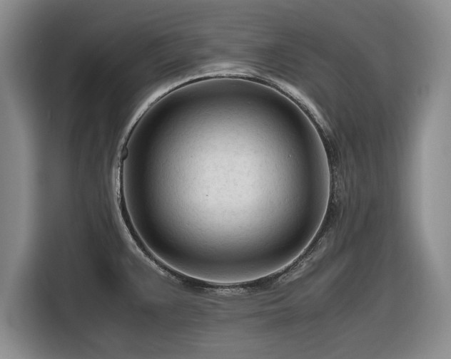 X0000116261383200912071013
