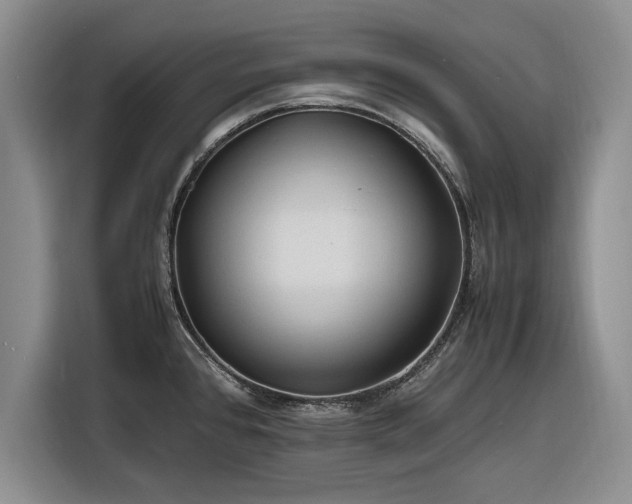 X0000116261384200912071013