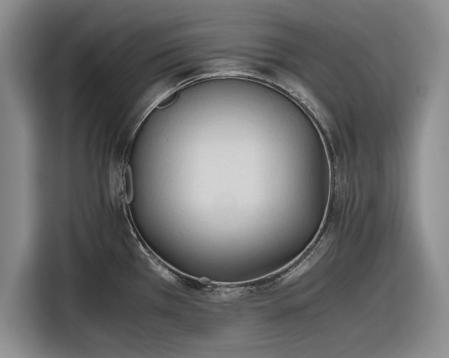 X0000116261385200912071013