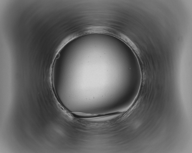 X0000116261386200912071013