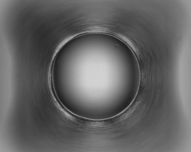 X0000116261387200912071013