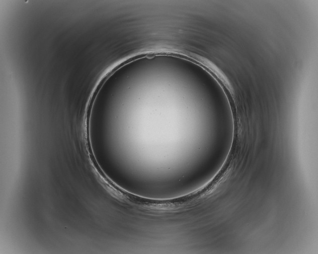 X0000116261388200912071013