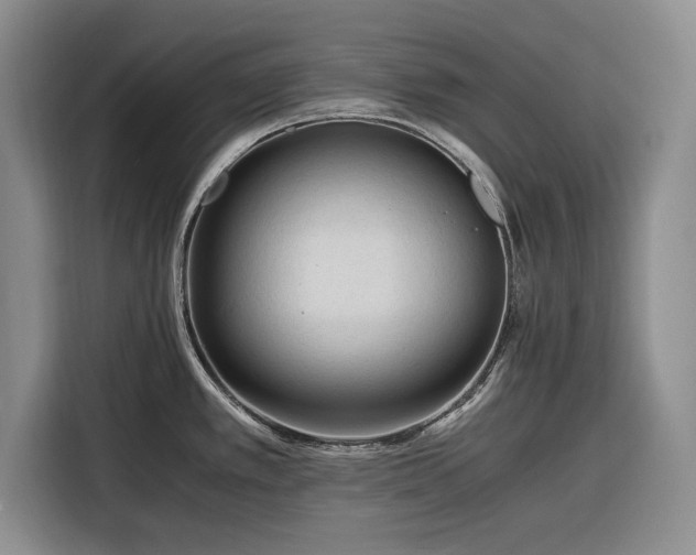 X0000116261389200912071013