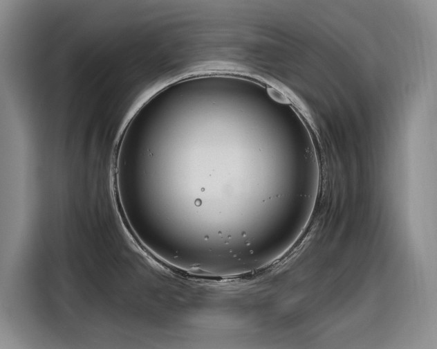 X0000116261390200912071013