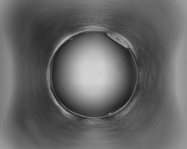 X0000116261391200912071013
