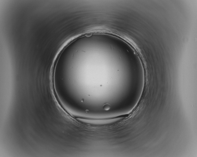 X0000116261392200912071013