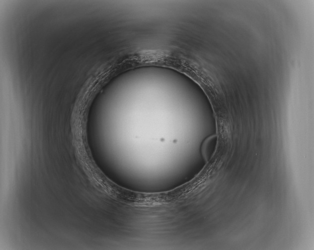 X0000116261393200912071013
