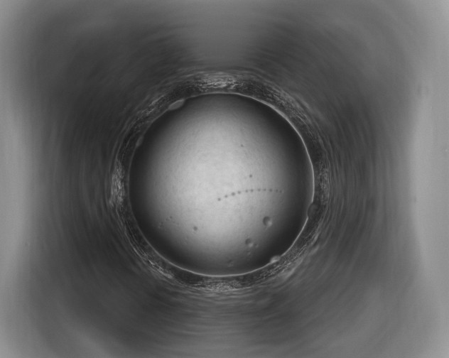 X0000116261394200912071013