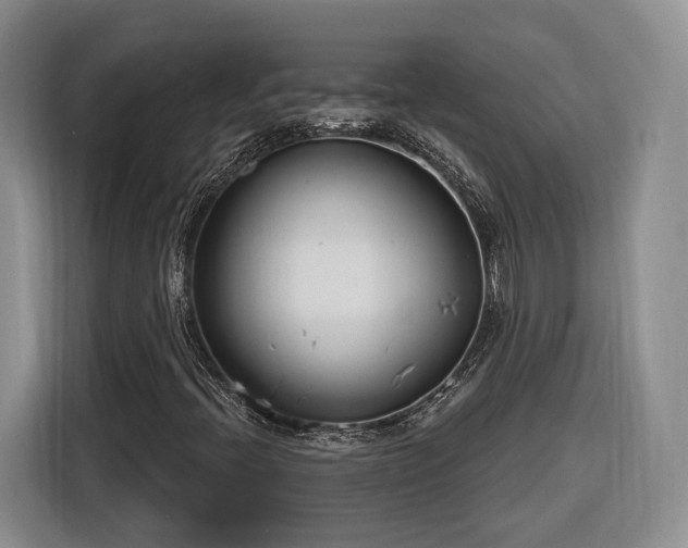 X0000116261396200912071013