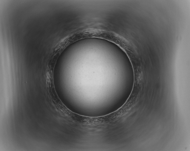 X0000116261397200912071013