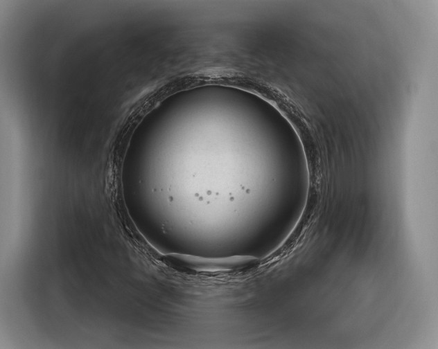 X0000116261398200912071013