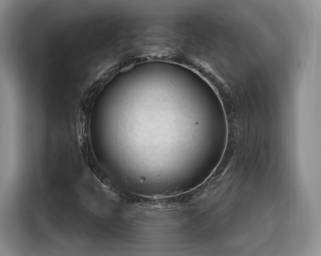 X0000116261399200912071013
