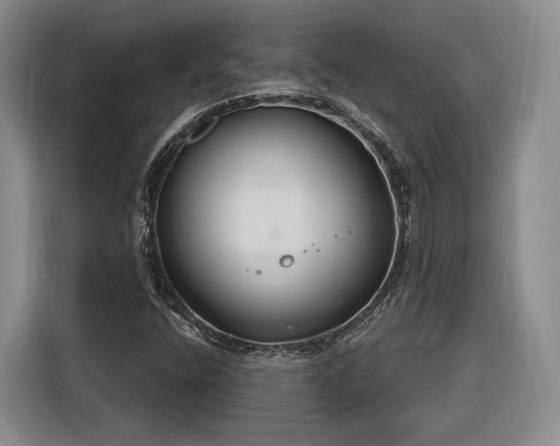 X0000116261400200912071013