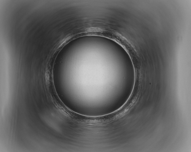 X0000116261401200912071013