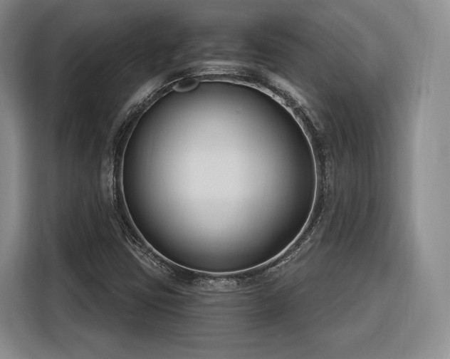 X0000116261403200912071013