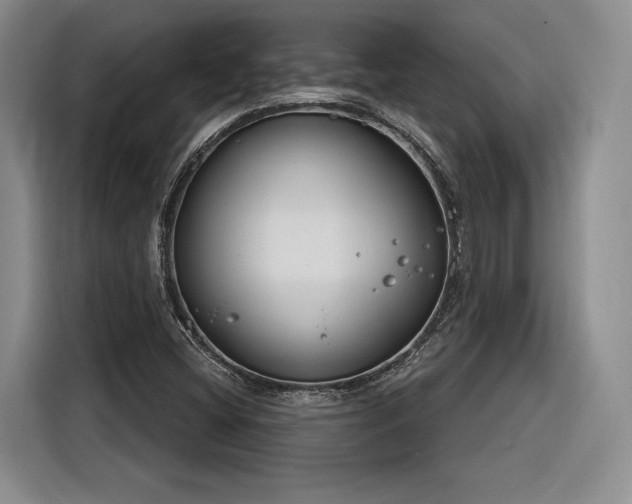 X0000116261404200912071013