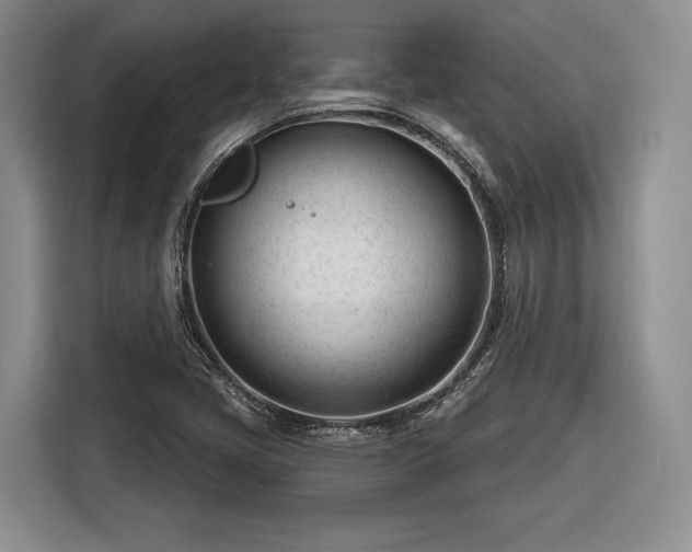 X0000116261405200912071013
