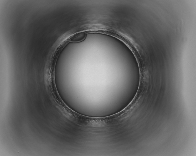 X0000116261407200912071013