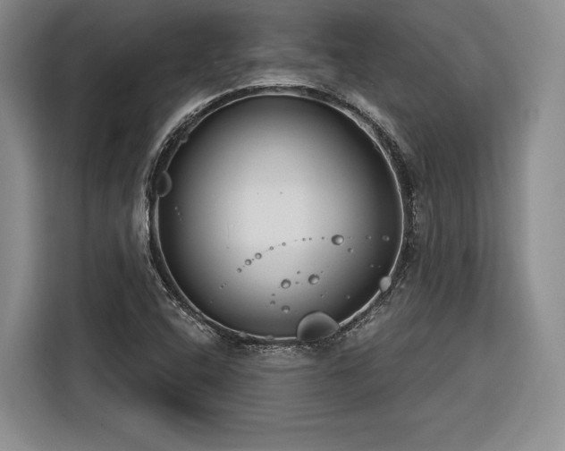X0000116261408200912071013