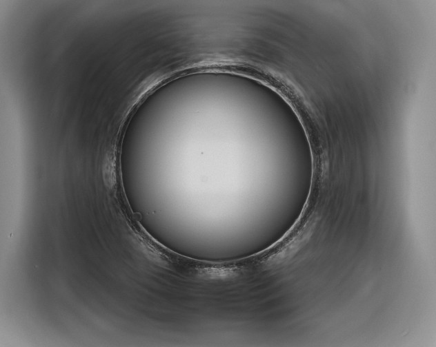 X0000116261409200912071013