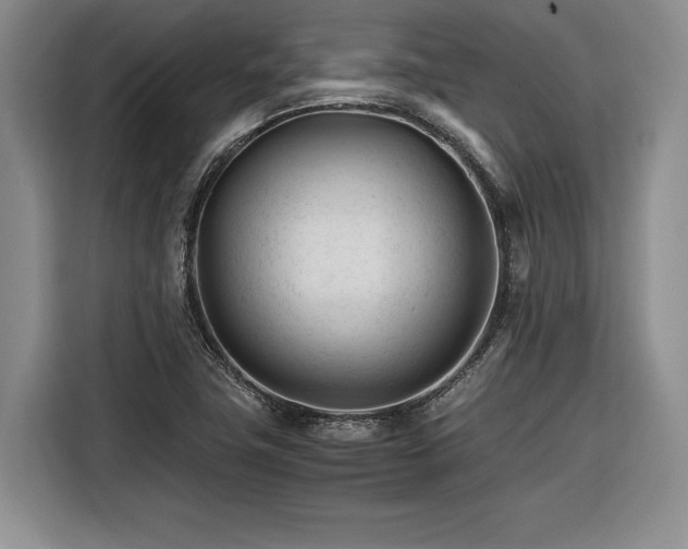X0000116261411200912071013