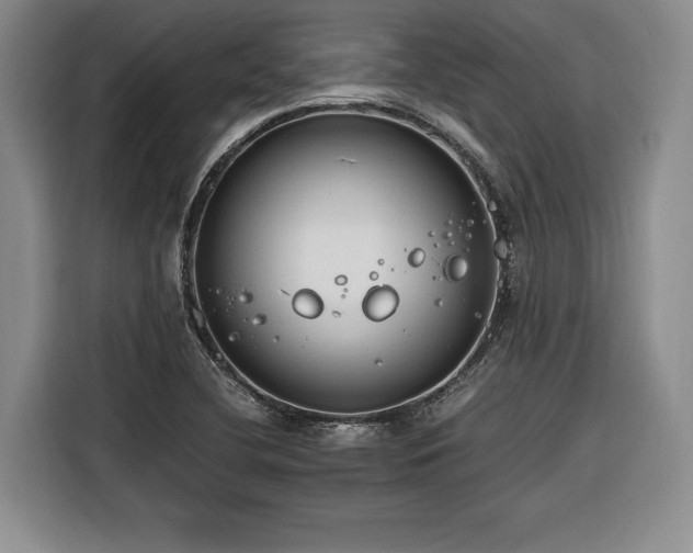 X0000116261412200912071013